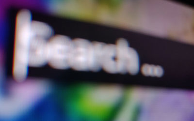 Should a New Business Pay for Search Ads or SEO?